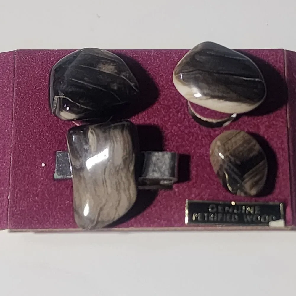 Petrified Wood Elegance Cuff Links & Tie Clip And Tie Tack Set